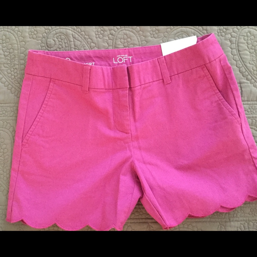 Loft Shorts NWT
